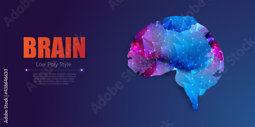 Abstract polygonal human brain. Lines and dots. Polygonal art in the form of a starry sky or space. Neural network. IQ testing, artificial intelligence virtual emulation science technology concept.