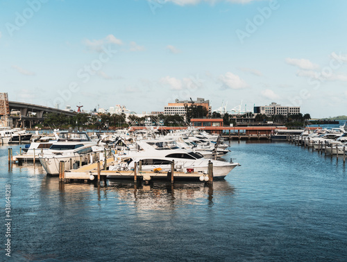 Wallpaper Mural boats in marina Downtown miami florida travel sky blue summer