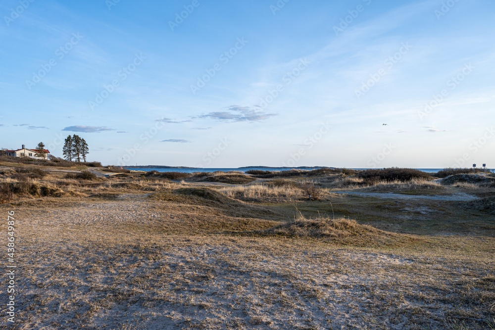 Golden light in the sunset at an ocean beach. Blue sky in the background. Picture from the Swedish west coast Golden light in the sunset at an ocean beach. Blue sky in the background. Picture from the Swedish west coast