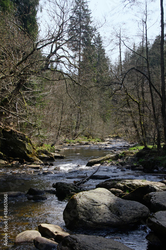 River leading through a forest in the Eifel region