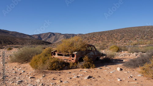 Abandoned rusted car wreck in a desert. The car rolled in the accident and was flattened, plants have started to grow around it.