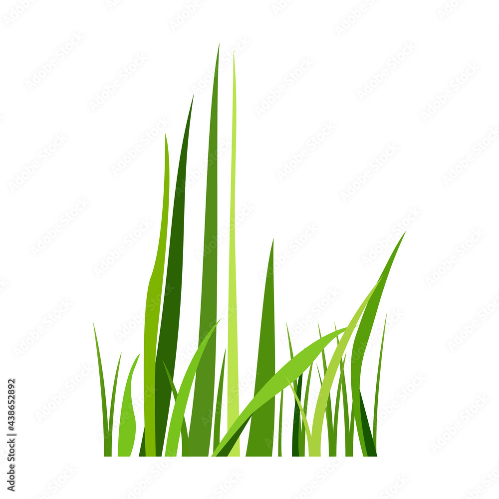 Green spring grass. Isolated on white background. Vector illustration. Green spring grass. Isolated on white background. Vector illustration.