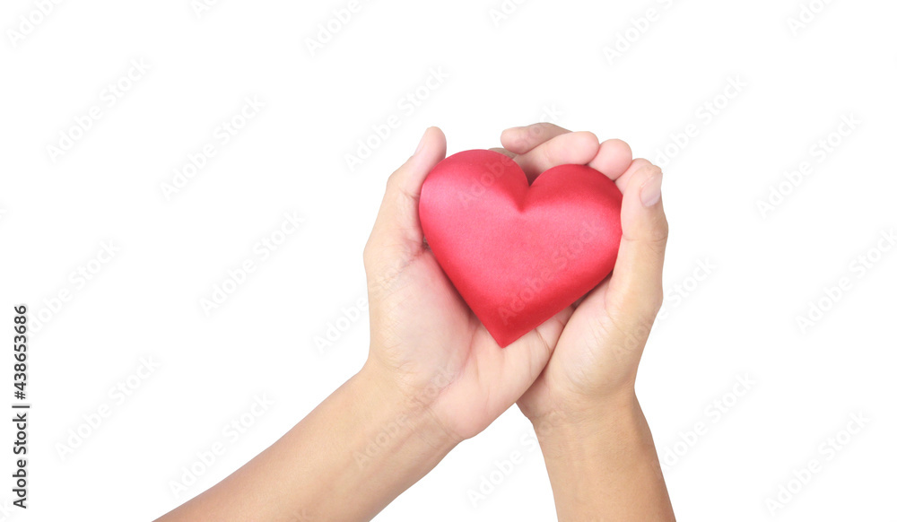 Hands holding red heart. heart health donation concepts Hands holding red heart. heart health donation concepts