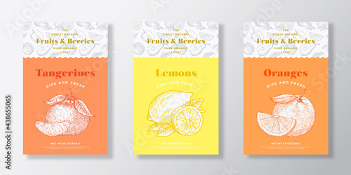 Citrus Fruits Pattern Label Templates Set. Vector Packaging Design Layout Collection. Modern Typography Banner with Hand Drawn Oranges, Lemon and Tangerines Sketches Background. Isolated