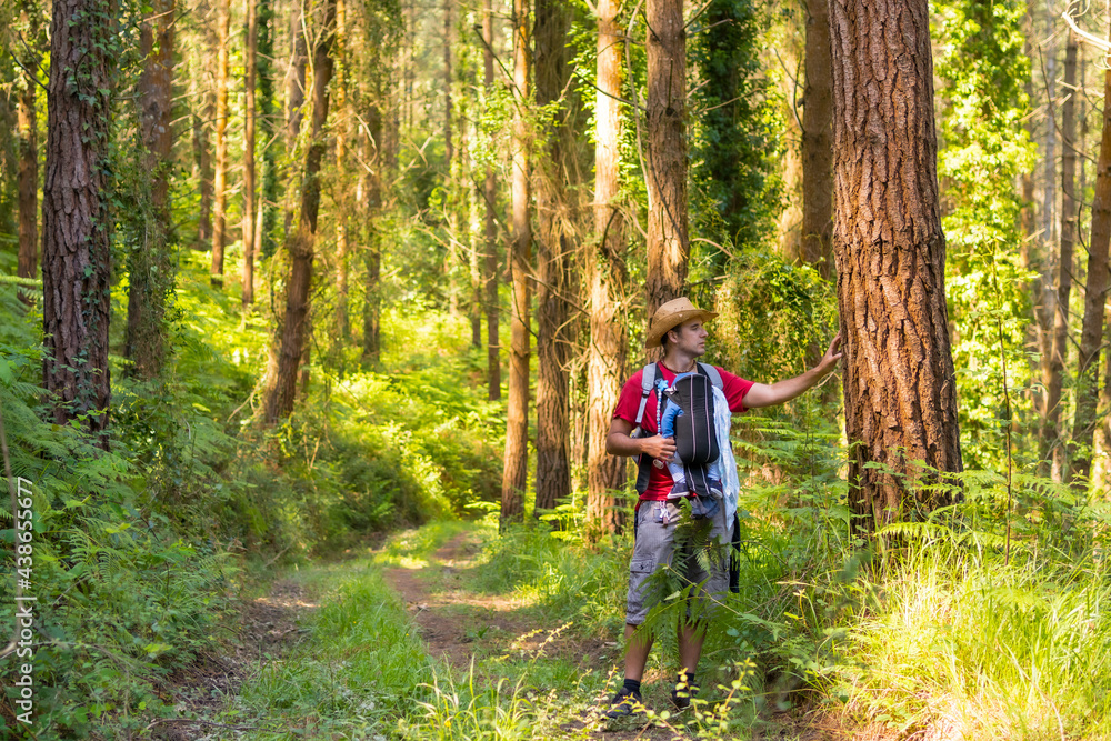 A young father with a hat and with his son in his backpack and looking at the pine trees in the woods, hiker lifestyle concept, copy and paste space, forests of the Basque country. Spain A young father with a hat and with his son in his backpack and looking at the pine trees in the woods, hiker lifestyle concept, copy and paste space, forests of the Basque country. Spain
