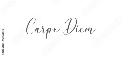 Carpe Diem lettering text, hand drawn typographic style phrase. Motivational quote handwritten design. photo