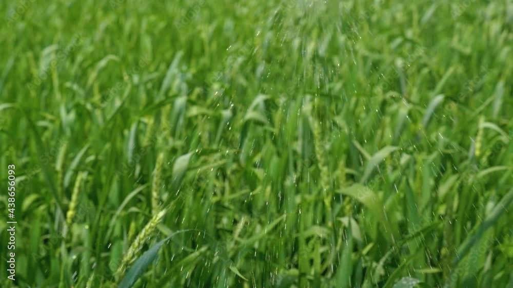 Agricultural Industry.Treatment of Plants in the Fields by Spraying. Spray Nozzle Close-up.The Tractor Moves through the Field working on Pests Agricultural Industry.Treatment of Plants in the Fields by Spraying. Spray Nozzle Close-up.The Tractor Moves through the Field working on Pests