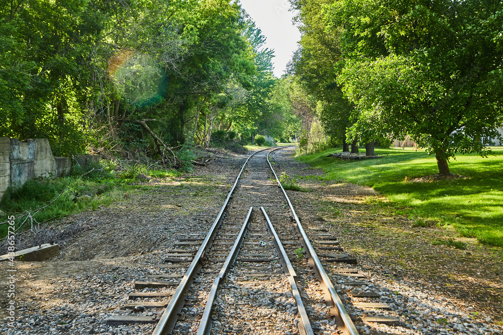 Fototapeta premium Train tracks into forest