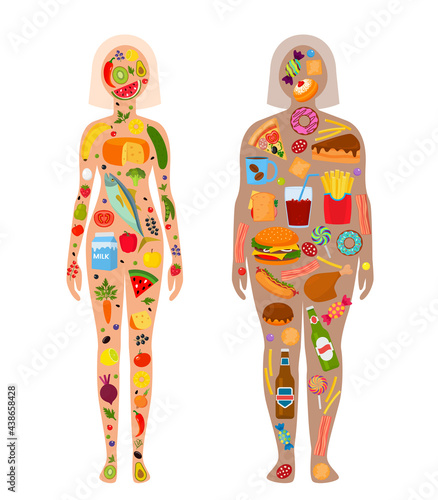 set of fat and skinny girl with fast food and vegetables with fruits inside. the concept of a healthy lifestyle and proper nutrition.