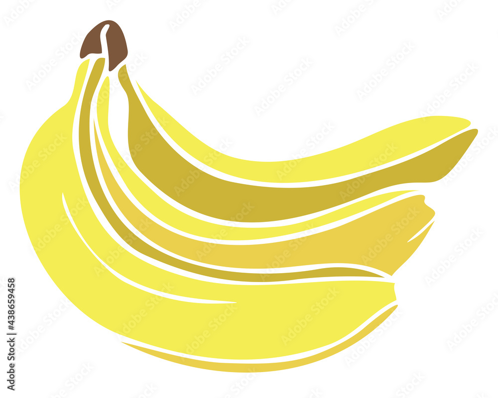 Vector illustration with ripe bunch of bananas. Bananas isolated on a white background. Vegan food.
