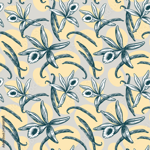 01_Vanille_design