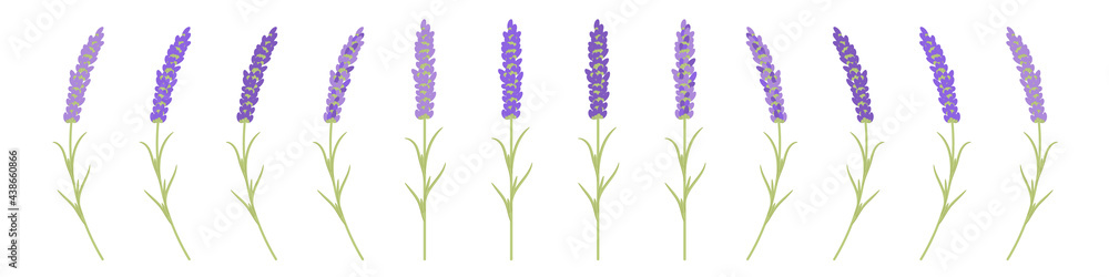 Obraz premium lavender branches for postcard decoration