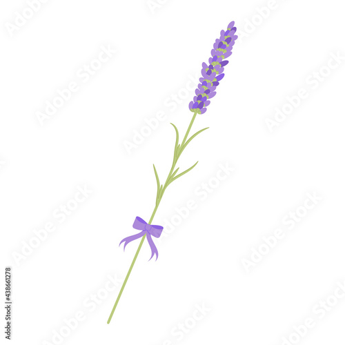 Fototapeta Naklejka Na Ścianę i Meble -  lavender branch for postcard decoration