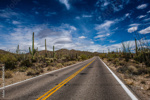 road through the desert © Alcorn Imagery