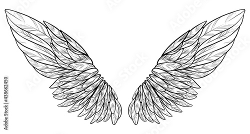 Beautiful white spreaded angel wings, monochrome vector