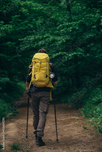 A hiker man walking in the forest and using trekking poles