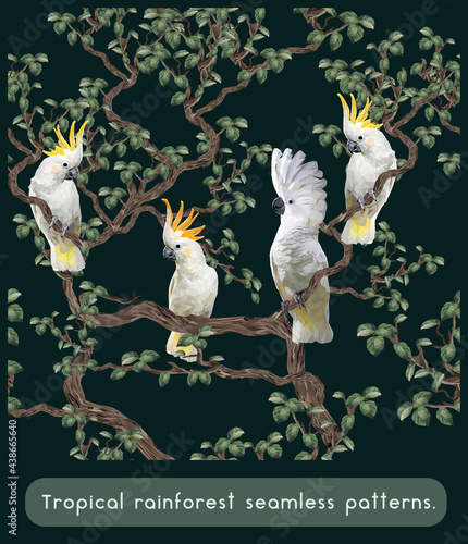 Seamless patterns art of Amazon tropical rainforest with cockatoo birds.