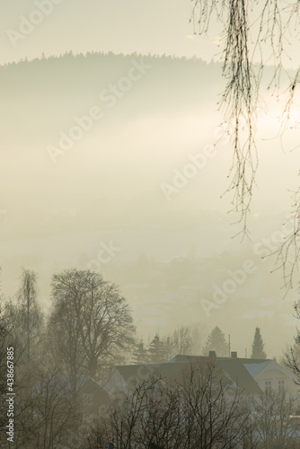 Thich morning mist with rooftops and distant trees, framed by fine hanging branches photo