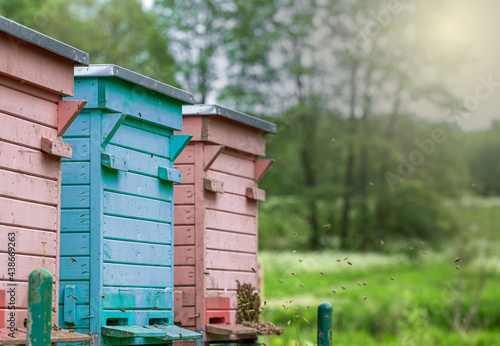 Wallpaper Mural Colorful hives and bees in the meadow in the sunshine Torontodigital.ca