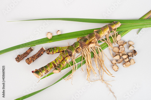 Fresh and dried Acorus calamus roots, also known as sweet flag, isolated on light background. photo