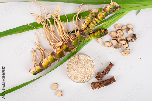 Fresh and dried Acorus calamus roots, also known as sweet flag, calamus leaves and powder isolated on light background.