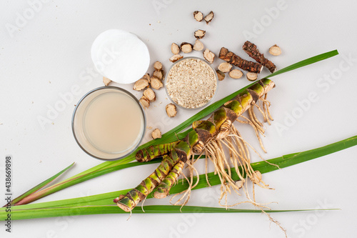 Photography Fresh and dried Acorus calamus roots, also known as sweet flag, calamus leaves and powder, tonic for skin and hair