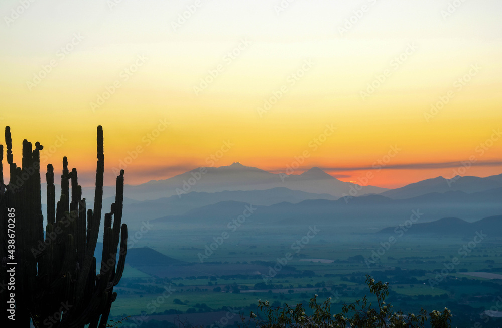 Sunrise with the silhouettes of a cactus and the volcanoes of Jalisco
