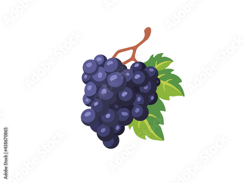 Grapes with leaf isolated on white background