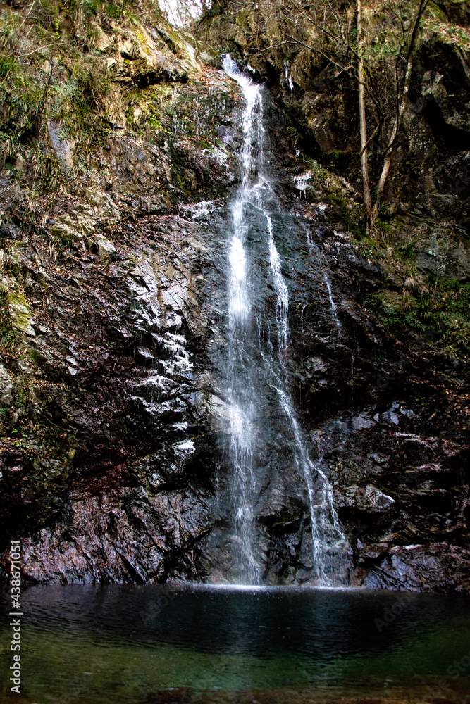 waterfall in the forest waterfall in the forest