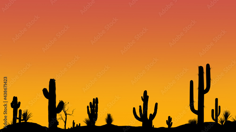Silhouettes of different cacti at sunset with a cloudless sky in the desert. Desert sunset with clear sky without clouds.