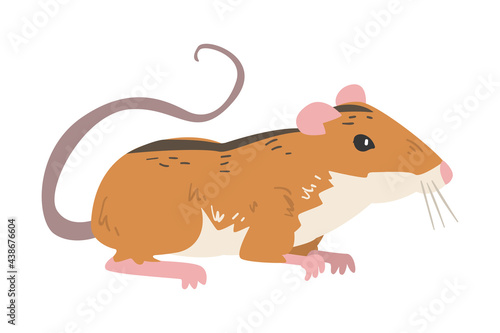 Field Mouse as Small Rodent with Long Tail and Dorsal Black Stripe Vector Illustration