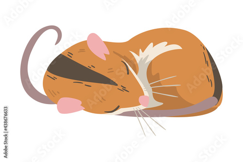 Striped Field Mouse as Small Rodent with Long Tail Cuddling Vector Illustration