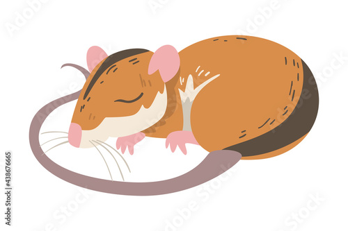 Striped Field Mouse as Small Rodent with Long Tail Cuddling Vector Illustration