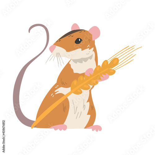 Striped Field Mouse as Small Rodent with Long Tail Holding Spikelet Vector Illustration