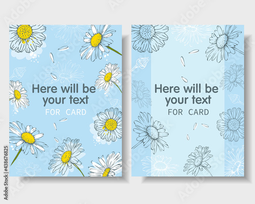 Postcard chamomile flowers vector design