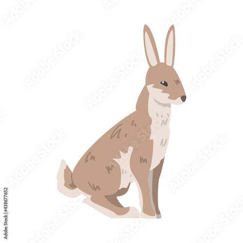 Sitting Hare or Jackrabbit as Swift Animal with Long Ears and Grayish Brown Coat Vector Illustration © topvectors
