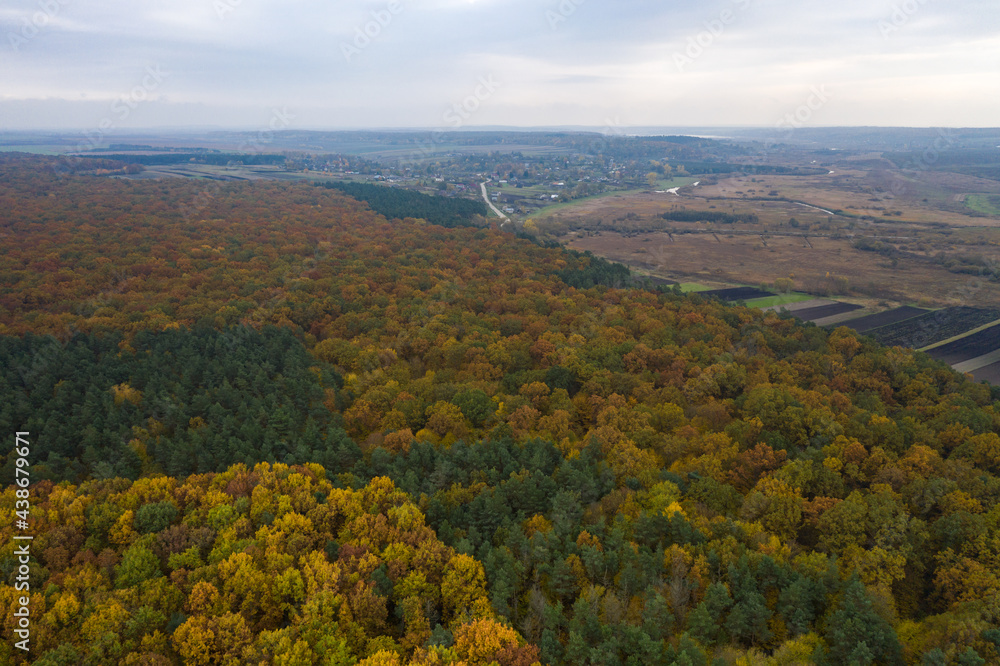 Photo of the forest taken by a drone, a beautiful autumn landscape of deciduous forest in the Ternopil region of Ukraine.