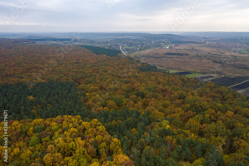 Photo of the forest taken by a drone, a beautiful autumn landscape of deciduous forest in the Ternopil region of Ukraine.