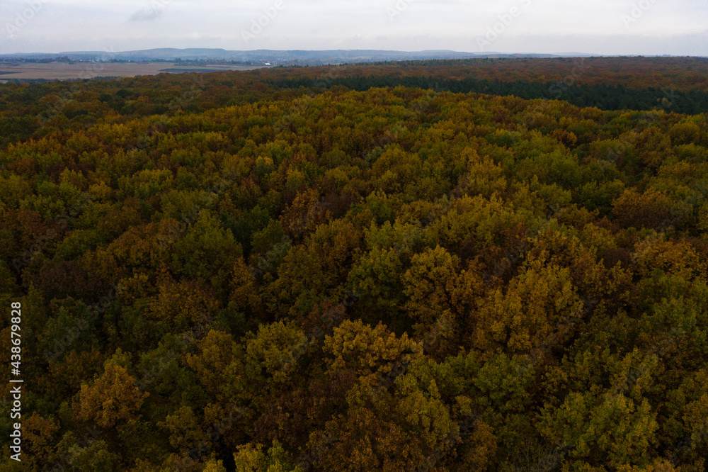 Photo of the forest taken by a drone, a beautiful autumn landscape of deciduous forest in the Ternopil region of Ukraine. Photo of the forest taken by a drone, a beautiful autumn landscape of deciduous forest in the Ternopil region of Ukraine.