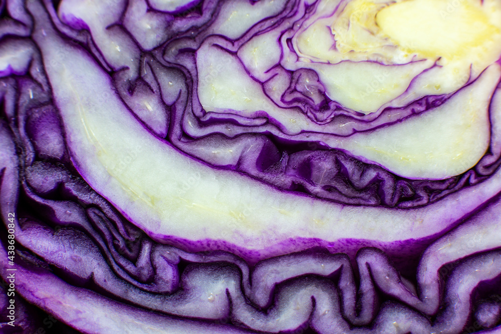 Obraz premium Purple or red cabbage texture inside, Natural eco background. Beautiful wallpaper. Macro photo.