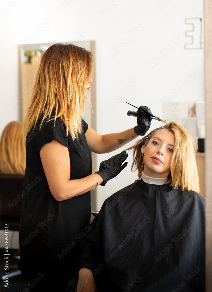 Naklejka premium Female hairdresser staining hair of female customer