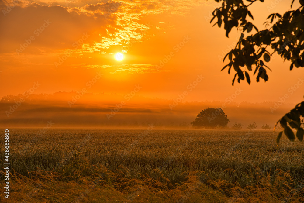 Sommerliche Morgenstimmung in der Ortenau nahe Mahlberg Sommerliche Morgenstimmung in der Ortenau nahe Mahlberg