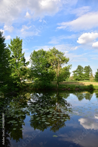 Natur - Wasserspiegelung