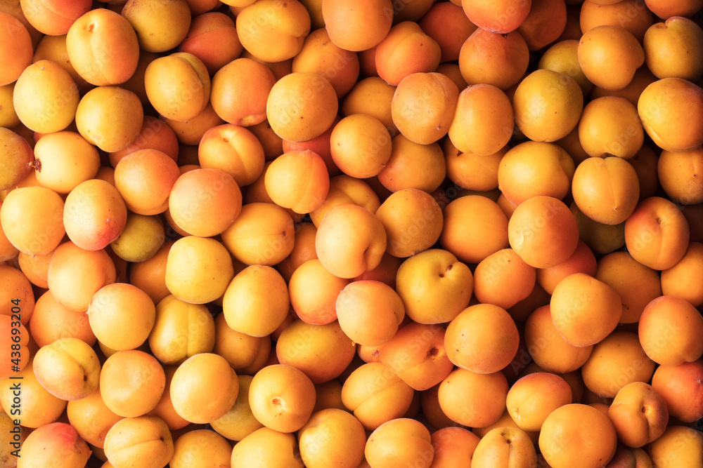 Apricots full frame, flat view Apricots full frame, flat view