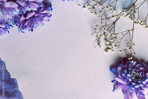 Violet, blue and pink chrysanthemum. A bouquet of chrysanthemums on wooden background with copy space. Chrysanthemum Flower Close up. photo