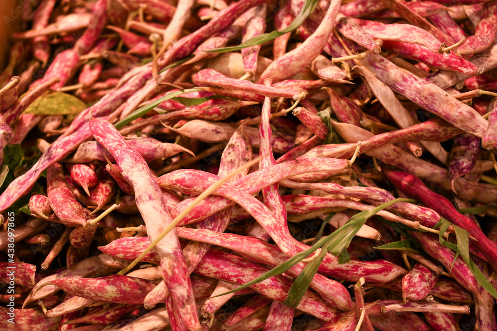 Close-up of fresh red and pink October beans at the local farmers market Close-up of fresh red and pink October beans at the local farmers market