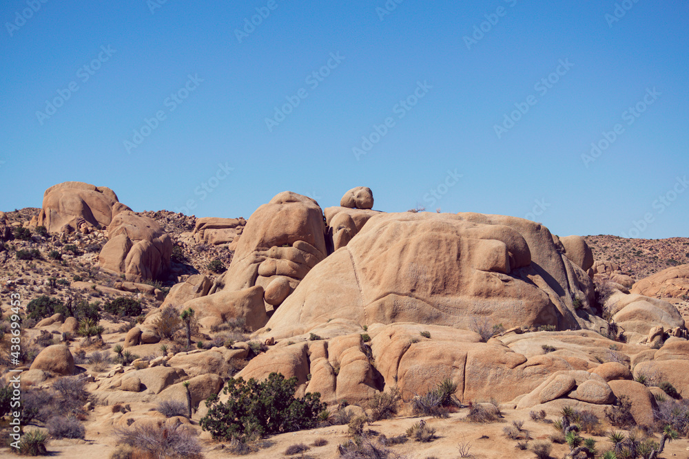 Joshua Tree National Park Joshua Tree National Park