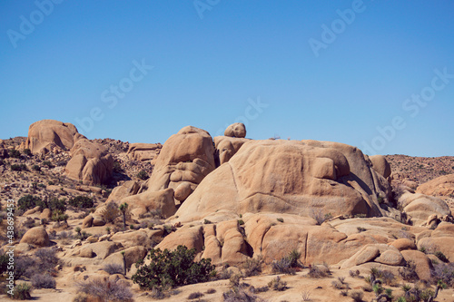 Park Narodowy Joshua Tree