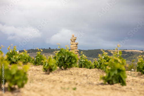 Dolmens among vineyard in Rioja, Spain photo