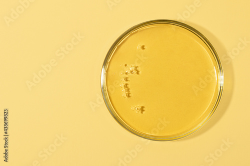 Top view of the petri dish with bubbles inside.Warm yellow background with copy space.Mockup concept,place for design.